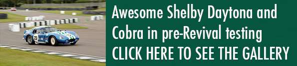Shelby_testing_Promo_29072015 Cobra piece